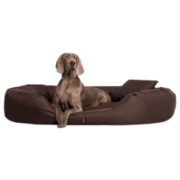 sammy orthopädisches hundebett