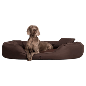 sammy orthopädisches hundebett