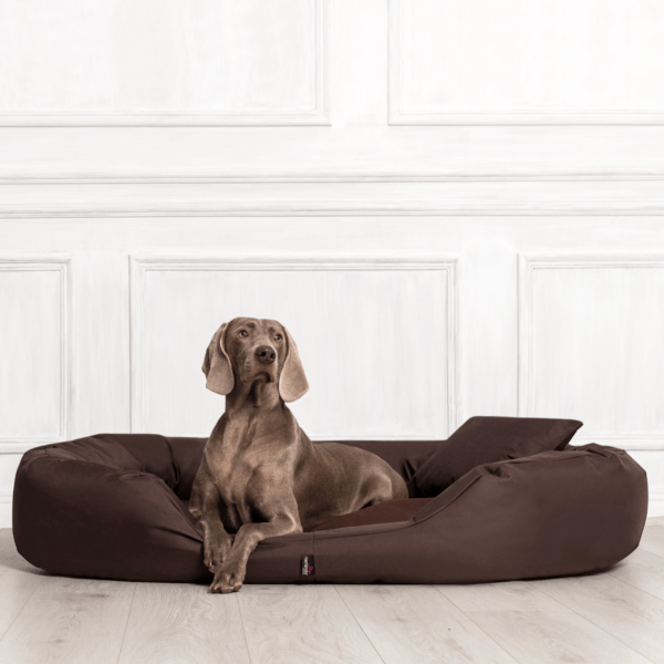 sammy orthopädisches hundebett