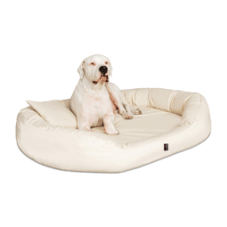 sv05 creme sammy polyester tierlando xxl gross robust oval 1 2.png
