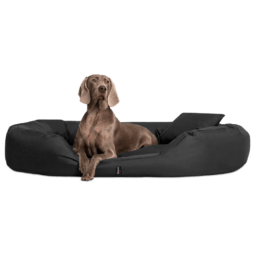 sv40 anthrazit sammy polyester tierlando xxl gross robust oval 1.png