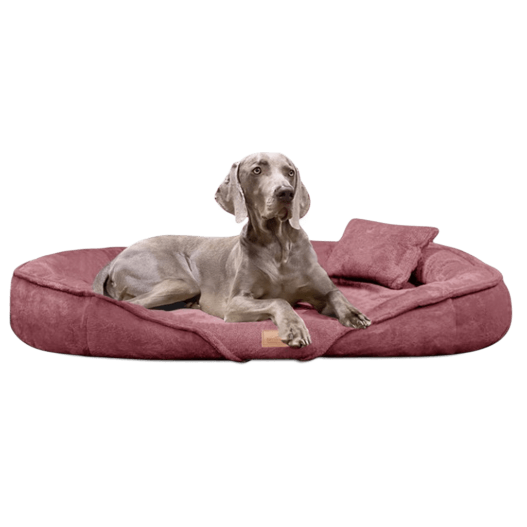 Dengizchilarning Rossiyadagi pornografik filmi haqida savollari bor.