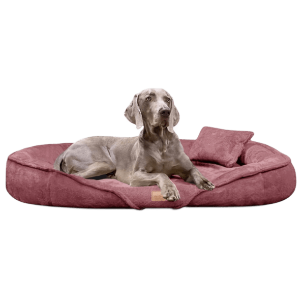 xen 59 nude rose xenia tierlando orthopaedisches hundebett kuschelig weich robust waschbar grosse hunde 1.png