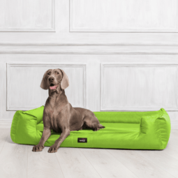sale | goofy orthopädisches hundebett | kiwi | 90x75cm