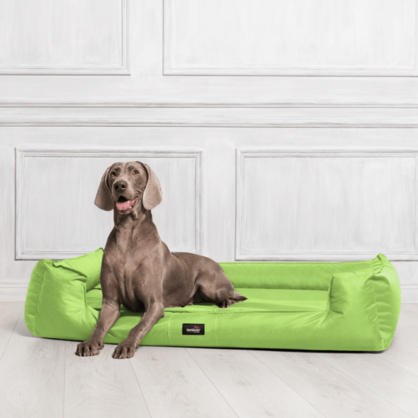 sale | goofy orthopädisches hundebett | hellgrün | 90x75cm