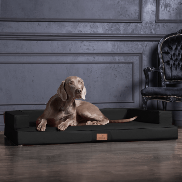 sale | gibson orthopädisches hundesofa | schwarz | 80x60cm