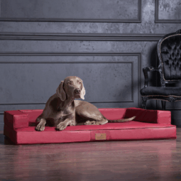 sale | gibson orthopädisches hundesofa | dunkelrot | 80x60cm