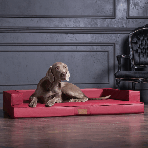 sale | gibson orthopädisches hundesofa | dunkelrot | 80x60cm