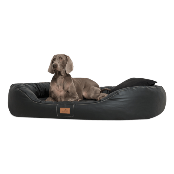 lennart visco plus orthopädisches hundebett