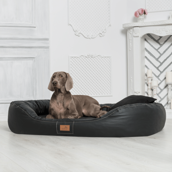 lennart visco plus orthopädisches hundebett