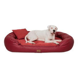 le al 04 dunkelrot lennart velours kunstleder orthopaedisches hundebett tierlando 1.png