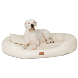 le ll 05 creme lennart easy clean kunstleder orthopaedisches hundebett tierlando 1.png