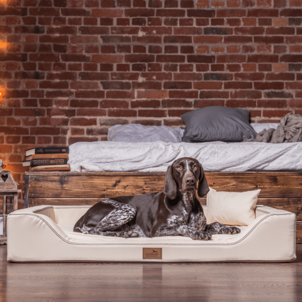 sale | melody vip orthopädisches hundebett | beige | 85x60cm