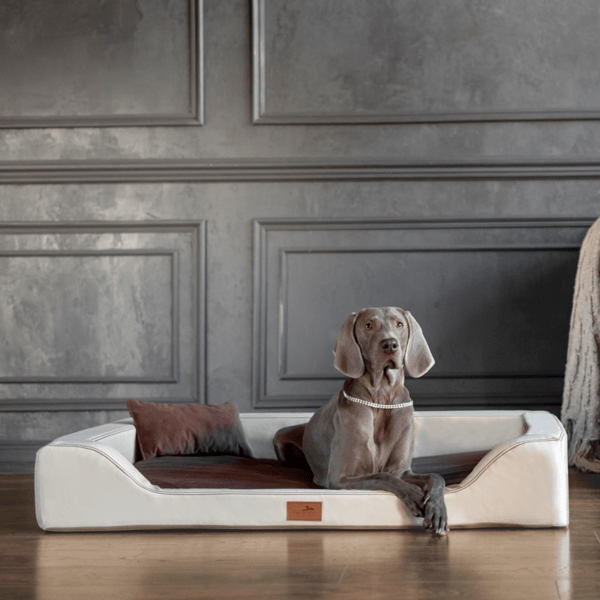 sale | melody vip orthopädisches hundebett | creme/braun | 150x100cm