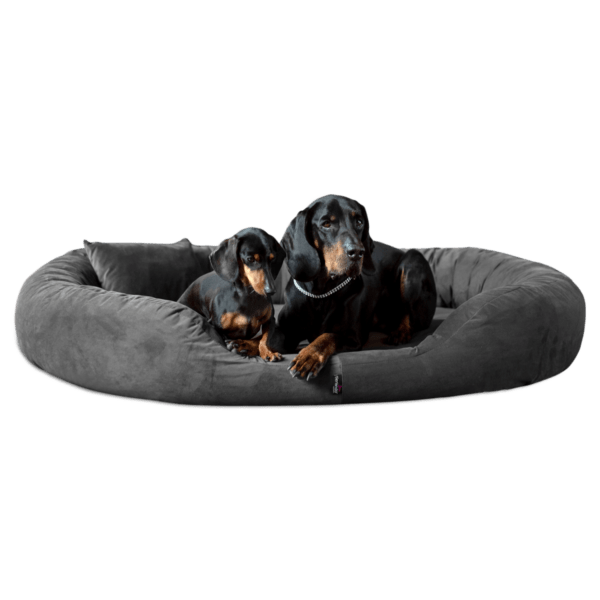 sammy soft orthopädisches hundebett