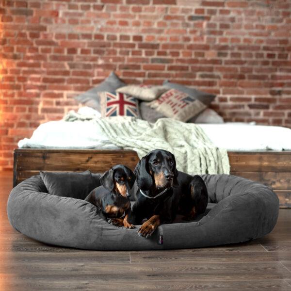 sammy soft orthopädisches hundebett