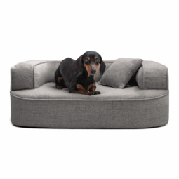 lotte orthopädisches hundesofa