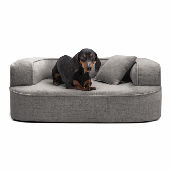 lotte orthopädisches hundesofa