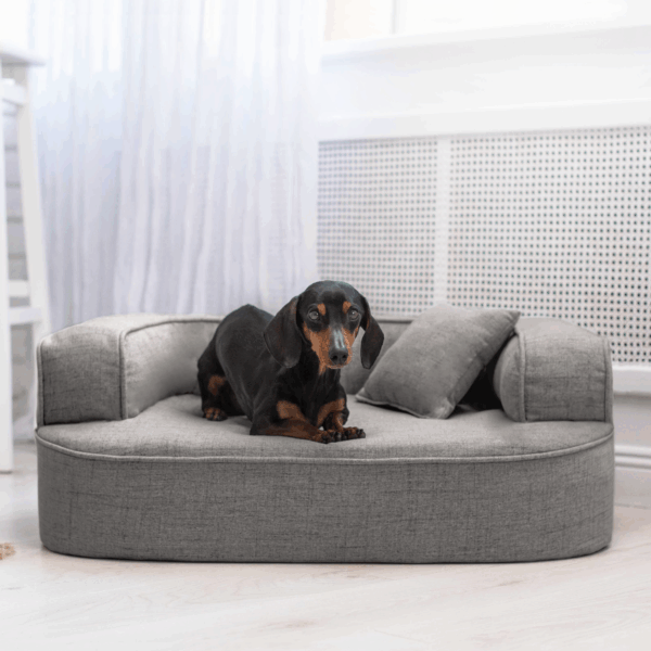 lotte orthopädisches hundesofa