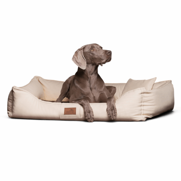 maddox easy clean orthopädisches hundebett
