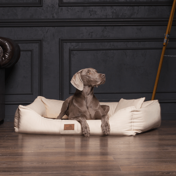maddox easy clean orthopädisches hundebett