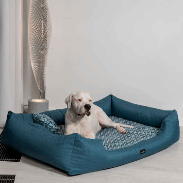ellen orthopädisches hundebett