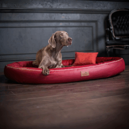 sale | gilbert vip orthopädisches hundebett | dunkelrot | 150x110cm