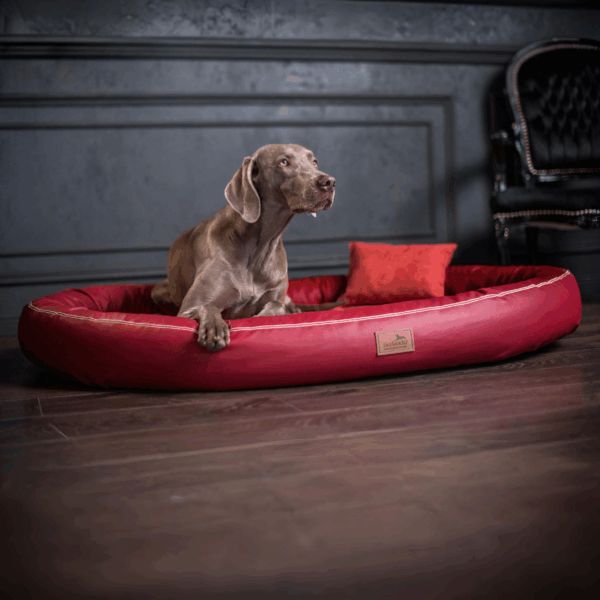 sale | gilbert vip orthopädisches hundebett | dunkelrot | 150x110cm