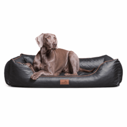 ls ll 02 graphit orthopaedisches hundebett louis tierlando kunstleder gesteppt xxl 1.png