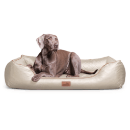 ls ll 05 creme orthopaedisches hundebett louis tierlando kunstleder gesteppt xxl 1.png