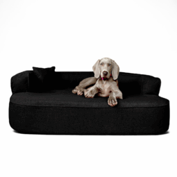 lt5 03 schwarz lotte tierlando orthopaedisches hundebett hundesofa meliert 1.png
