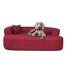 lt5 04 dunkelrot lotte tierlando orthopaedisches hundebett hundesofa meliert 1.png