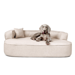 lt5 05 creme lotte tierlando orthopaedisches hundebett hundesofa meliert 1.png