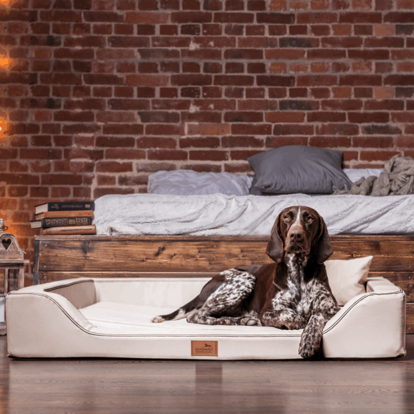 melody latex anti haar kunstleder | orthopädisches luxus hundebett