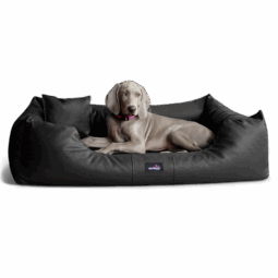 milen orthopädisches hundebett