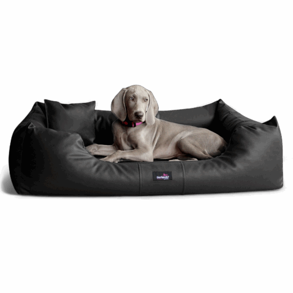 milen orthopädisches hundebett