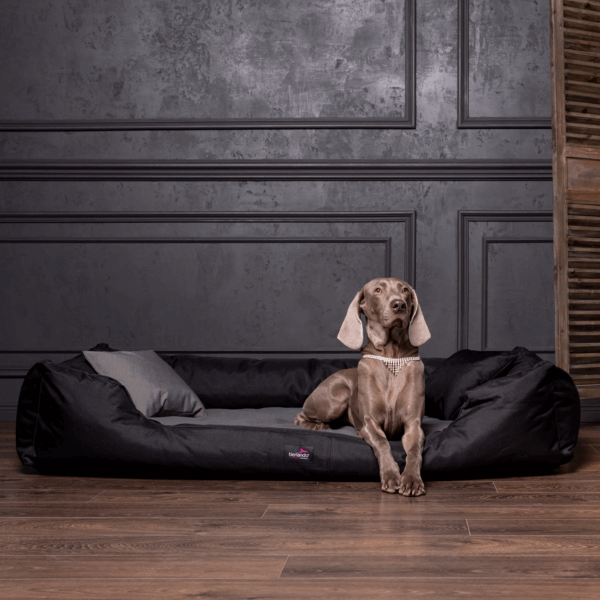 nestor | orthopädisches hundebett
