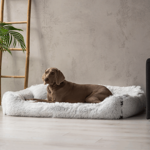 pedro shaggy orthopädisches hundebett