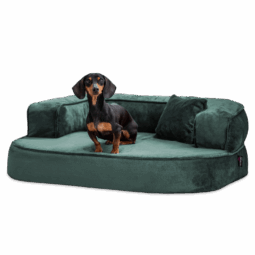 sh3 38 petrol sharleen tierlando orthopaedisches hundebett hundesofa kuschelig 1.png
