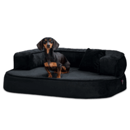 sh3 40 anthrazit sharleen tierlando orthopaedisches hundebett hundesofa kuschelig 1.png