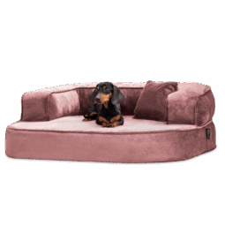 sh5 07 altrosa sharleen tierlando orthopaedisches hundebett hundesofa kuschelig 1 1.png