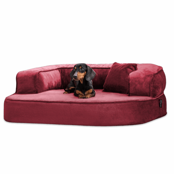 sharleen orthopädisches hundesofa