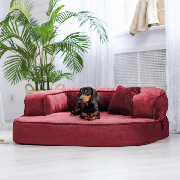 sharleen orthopädisches hundesofa