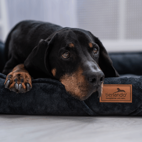 tyson orthopädisches hundebett