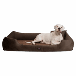 vi 01 braun vincent tierlando orthopaedisches hundebett ultraweich cord breitcord velours 1.png