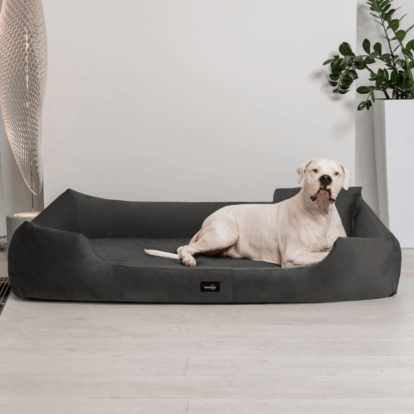 vincent orthopädisches hundebett