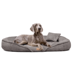 xen 02 gaphit taupe xenia tierlando orthopaedisches hundebett kuschelig weich robust waschbar grosse hunde 1.png