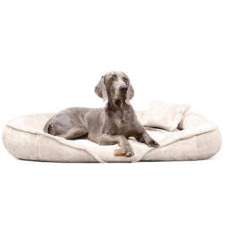 xen 05 creme xenia tierlando orthopaedisches hundebett kuschelig weich robust waschbar grosse hunde 1.png