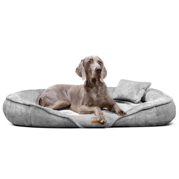 xenia teddy | kuscheliges orthopädisch hundebett