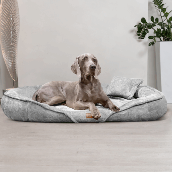 xenia teddy | kuscheliges orthopädisch hundebett